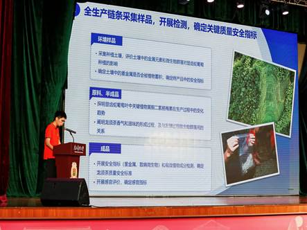龙须茶 龙须茶
