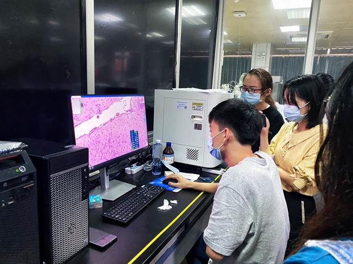 病理切片技术培训