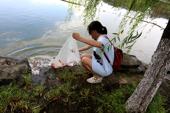 IMG_9320_副本.jpg