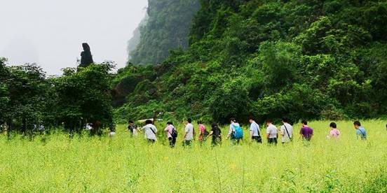 说明: QQ图片20190430102846